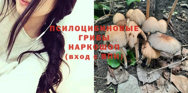 apvp Баксан