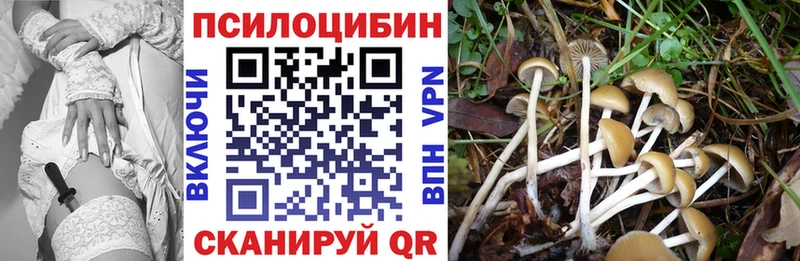 OMG ссылка Шелехов Псилоцибиновые грибы Psilocybe